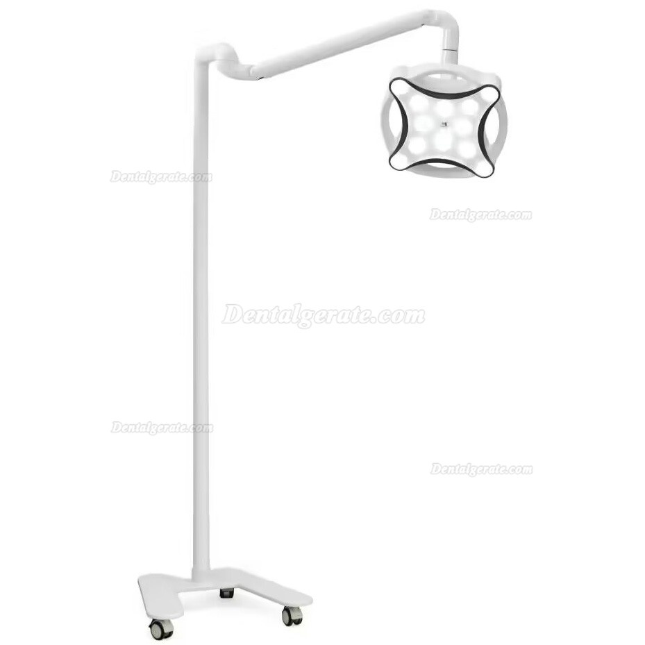 Micare JD1700L LED Minor Chirurgische Lampe Schattenlose Betriebslampe f&uuml;r Zahnkliniken